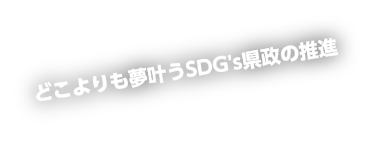 どこよりも夢叶うSDG's県政の推進